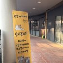 이쁜냥이 | 일산 고양이카페 냥이놀이터 솔직리뷰