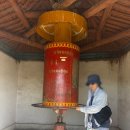 중부 | 몽골 여행 적기 3박 4일 중부투어 후기