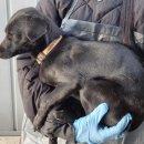 박달119안전센터 앞 이미지