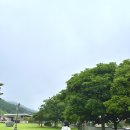 하동상회 | 진도 쏠비치 가족여행 : 하동 카페 녹음, 운림산방, 모도상회