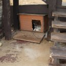 화목교회 | [평창 여행] 이국적인 포토존 '실버벨교회' &amp; 입에서 녹는 '대관령토종한우' 방문 후기