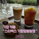 피치코코펜션 | [기장 카페] 바다 보이는 스타벅스 기장임랑원점 후기 | 디저트 종류도 다양했던 스벅