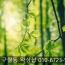 왁싱에반하다