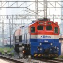 H1555 이미지