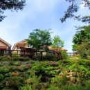 왕피천하늘담 이미지