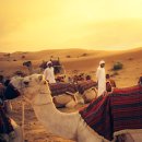 아이피호텔휘트니스 이미지