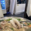 함평해보뻘낙지 | 만년동 회식 장소 추천｜함평해보뻘낙지 연포탕 솔직 리뷰