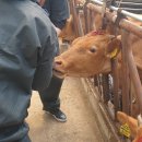 석천농장 이미지