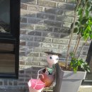 카페율리 이미지