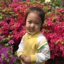 안법유치원 이미지