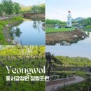 영월 가볼만한 곳｜동서강정원 청령포원 산책·피크닉 명소