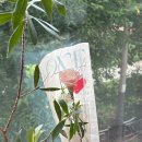 진주시종합사회복지관(1층) | 도고 서부종합사회복지관 아산 초등학교 출강, 리얼플라워캔들 꽃다발 클래스 후기