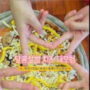 화성치즈학교 이미지
