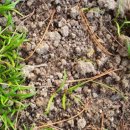 현대2차경로당 이미지