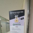 향인전통찻집 | 대전에서 중국 차를 즐길 수 있는 반석동카페 진하오차