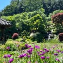 느리게걷기키즈가족펜션 이미지