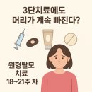 새로나병원 | 여자 원형탈모 치료 일지 18~21주 차｜주사치료·바르는 약·먹는 약에도 계속 빠지는 머리