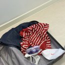 달리미네 | 해외여행준비물 테팔 프리볼트 휴대용스팀다리미 필수품 추천!