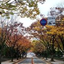 부산광역시청_1층 이미지