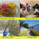 알토란사과체험마을 이미지