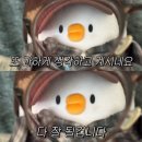 춘천예현병원 | up Back