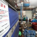 청구수산 이미지