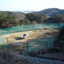 야구연습장 이미지