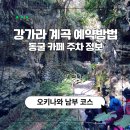 오키나와 자유여행 강가라계곡 예약방법 동굴 카페 주차 정보