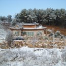 김을환 농장 Daum카페