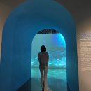 국립해양문화재연구소 해양유물전시관 | 목포 해양박물관 국립해양문화재연구소 해양유물전시관