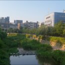 성북천 이미지