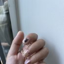 네일오이룸 이미지