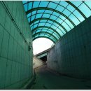 카리브민박 이미지