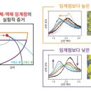 물리적 구조_노.2 이미지
