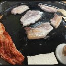 돼지꿈꾸던날 이미지