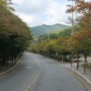 미나리부동산공인중개사사무소 이미지