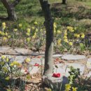 모장경로당 이미지