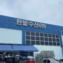 오정시장 | 오정농수산물도매시장에서 민생지원금 막차타기! 제철 쥐치회 플렉스(feat.남강수산)