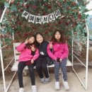 품 태권스쿨 이미지