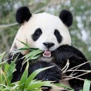 롱타우객잔 이미지