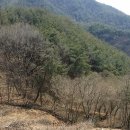 해인조경
