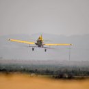 현대 농장 이미지