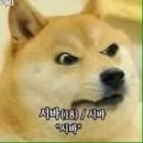대청소