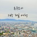 세븐일레븐 신사제일점 | 엄마&amp;23개월 아기와 2박 3일 후쿠오카 여행 후기# 4 (스미요시 신사/라쿠스이엔 정원/마키즈 쇼핑/귀국)