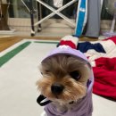 (주)식스팩토리