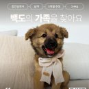 백도/남아/3개월 이미지