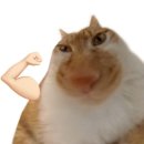 컴맹의 컴퓨터활용능력 2급 도전기 ! 도전 시작부터 자격증 따기까지 걸린 시간까지 후기 ~