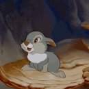 행복드림 동물병원 | 전남 여수 가볼만한곳 한우드림 동물체험장 체험후기