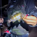 755 | 마즈메 겨울 낚시복 자켓 MZFW-755 구매 후기