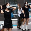 리틀조이 이미지
